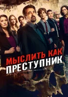 Мыслить как преступник смотреть онлайн сериал 1-17 сезон